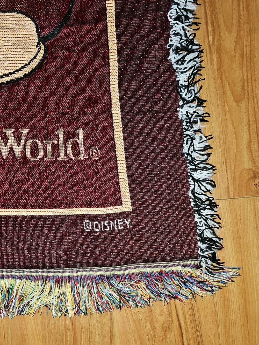 Walt Disney World Tapestry Blanket